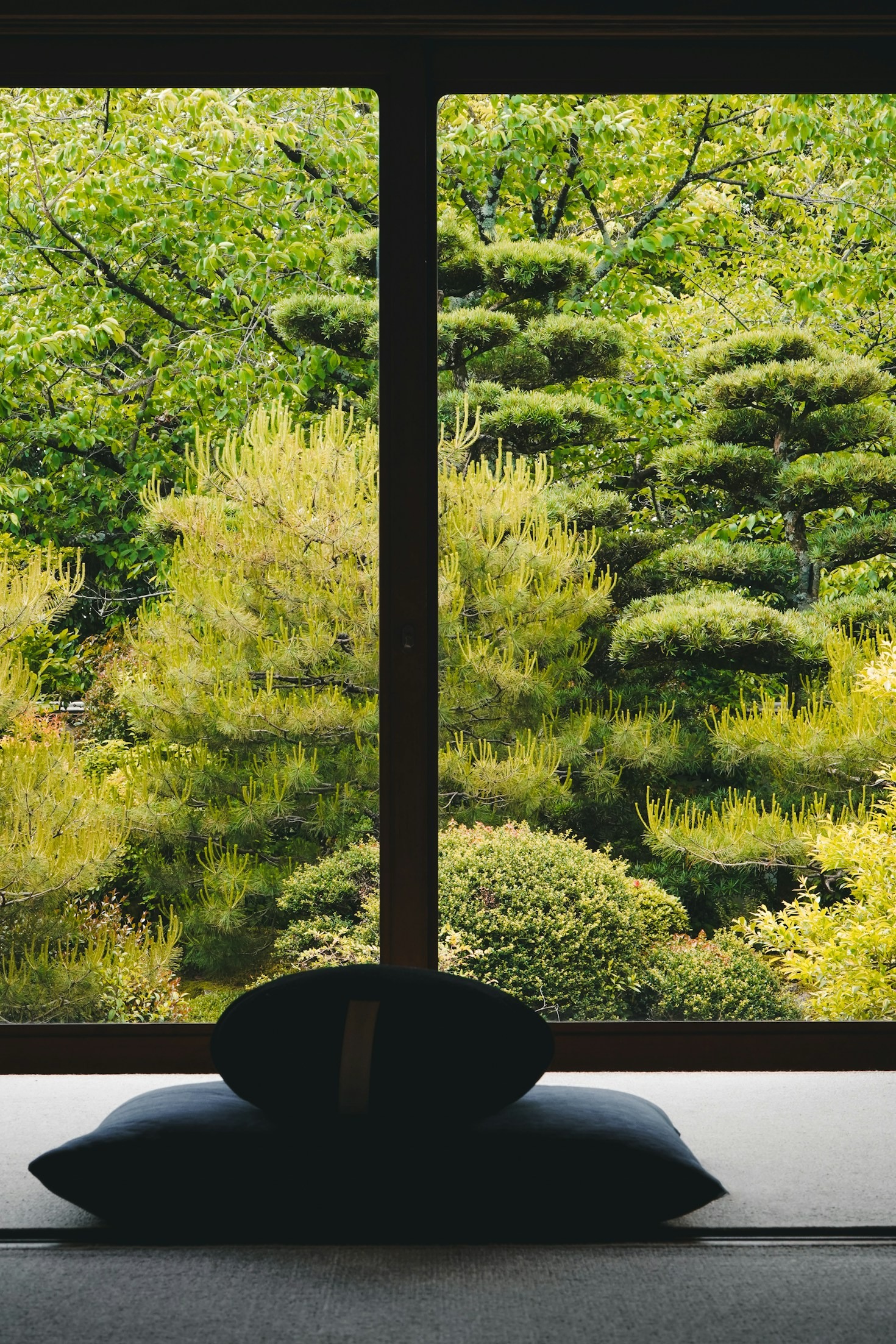 Finding Peace After Rejection: A Path Forward